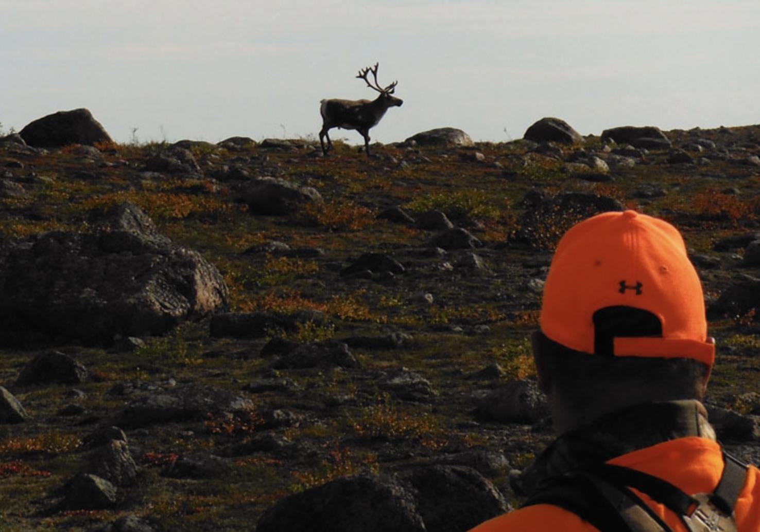 Canada Manitoba Caribou Hunting Lodge